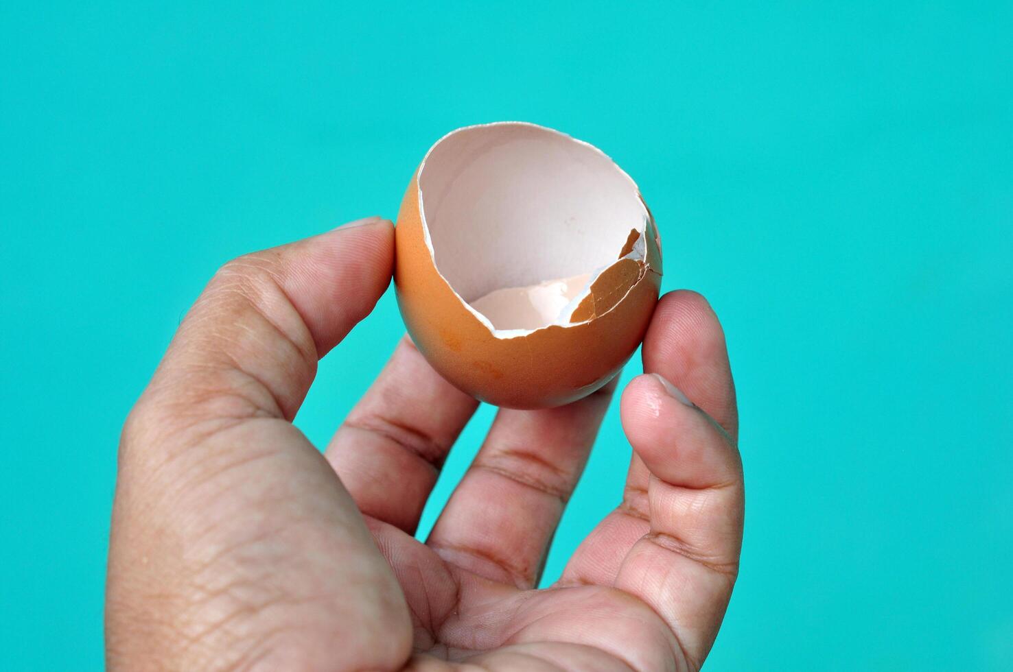Close-up of a human hand holding a cracked brown eggshell photo