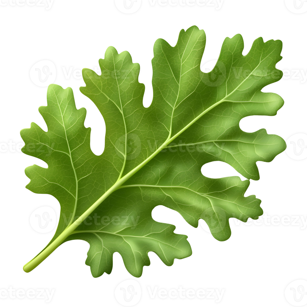 Detailed Green Leaf Illustration png