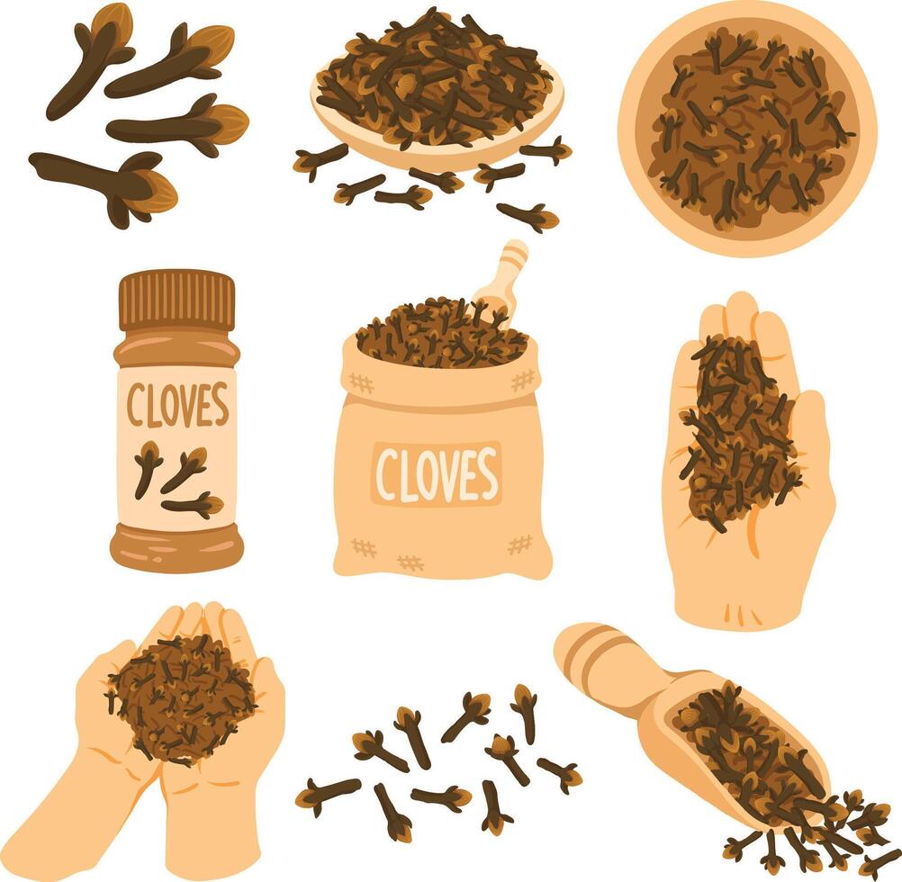 Clove Illustration Set Aromatic Spice Clipart Collection vector
