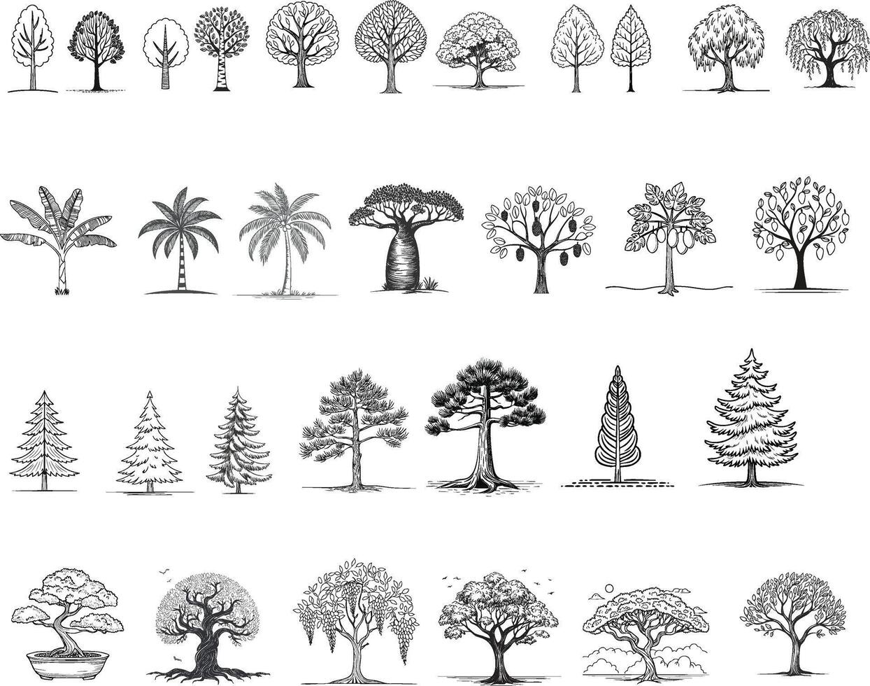various kinds of trees sketch vector