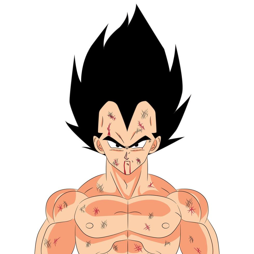 Vegeta the Saiyan prince with combat damage vector