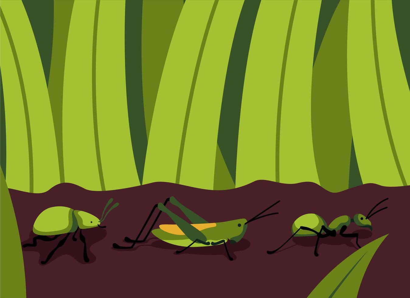 Insect Grasshoper Ant Bugs Illustration vector