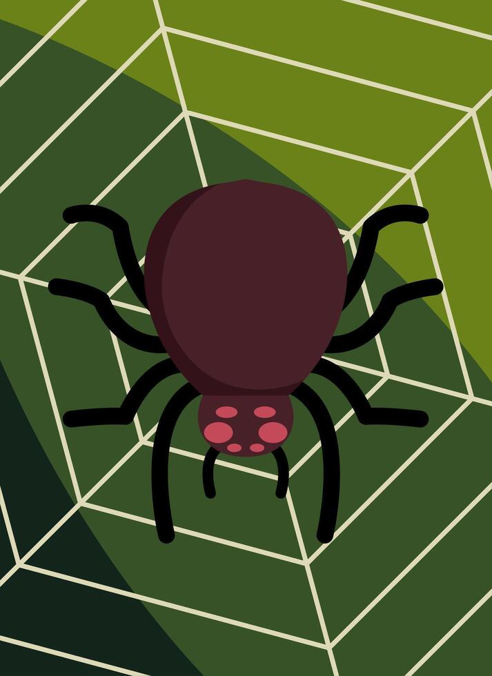 Insect Spider In Nest Illustration vector