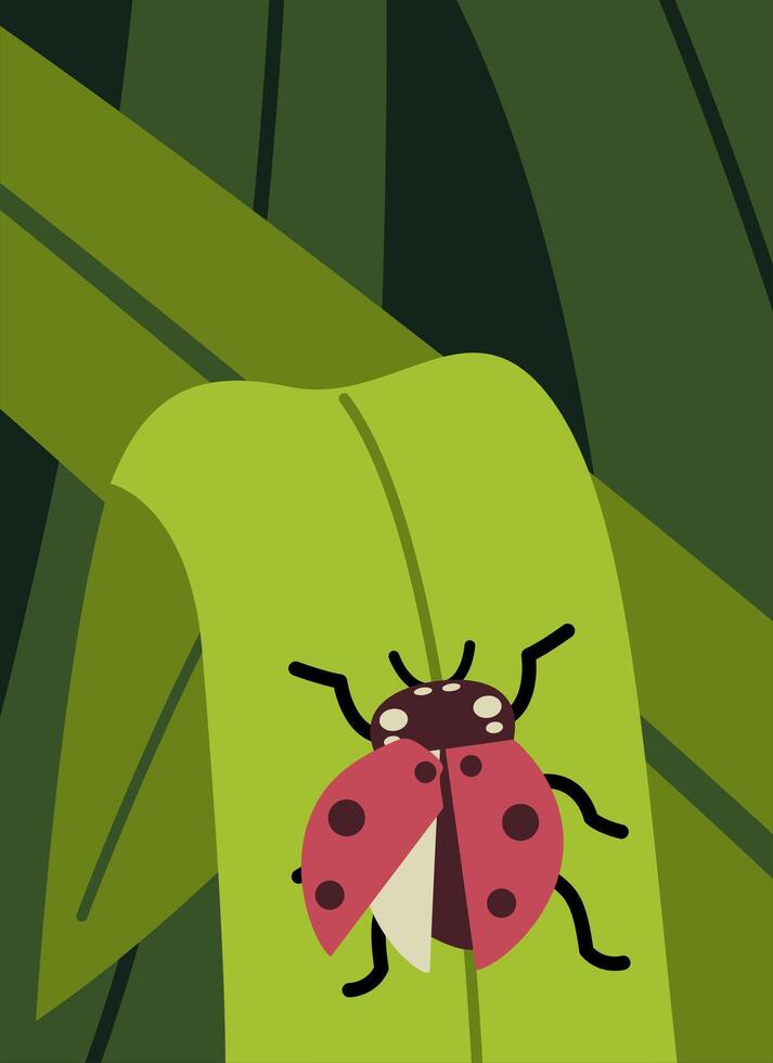 Insect Ladybug At Leave Illustration vector