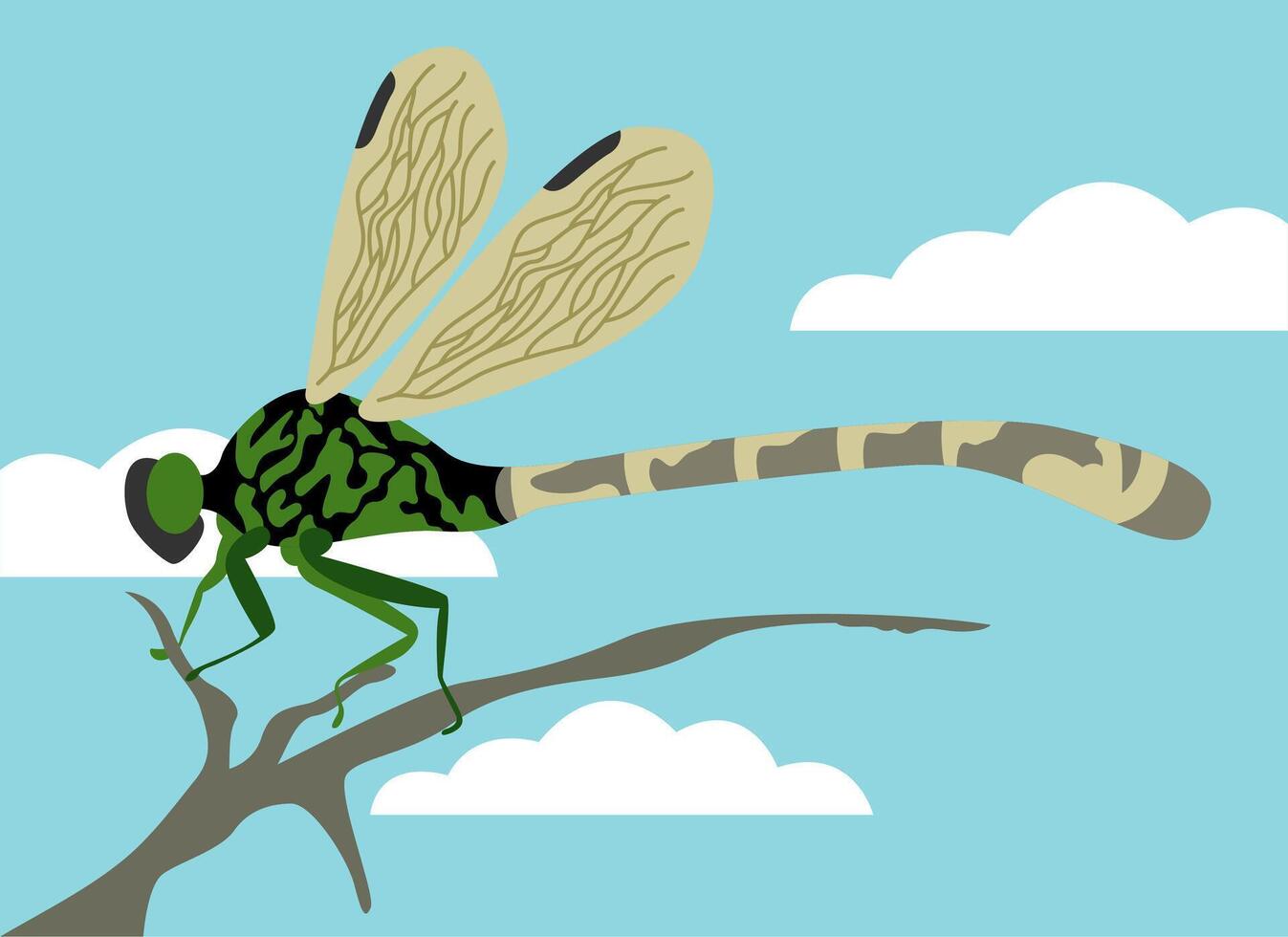 Insect Dragonfly In Twig illustration vector