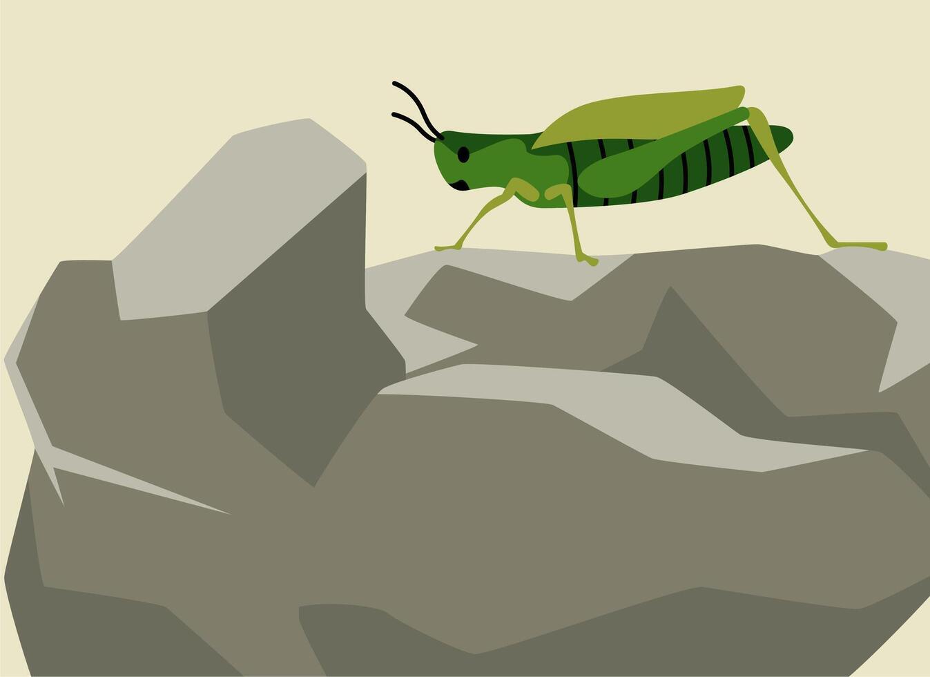 Insect Grasshoper In Stone Illustration vector