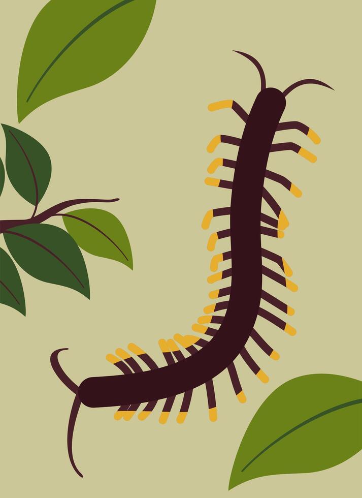 Insect Centipede In Leaves Illustration vector