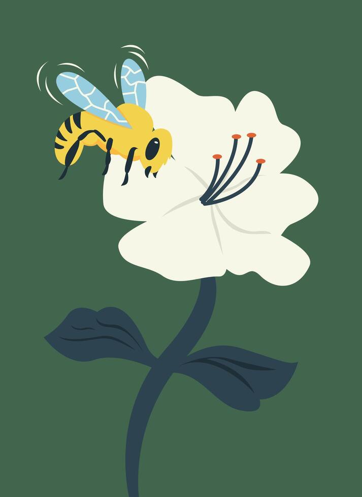 Insect Bee And Flower Illustration vector