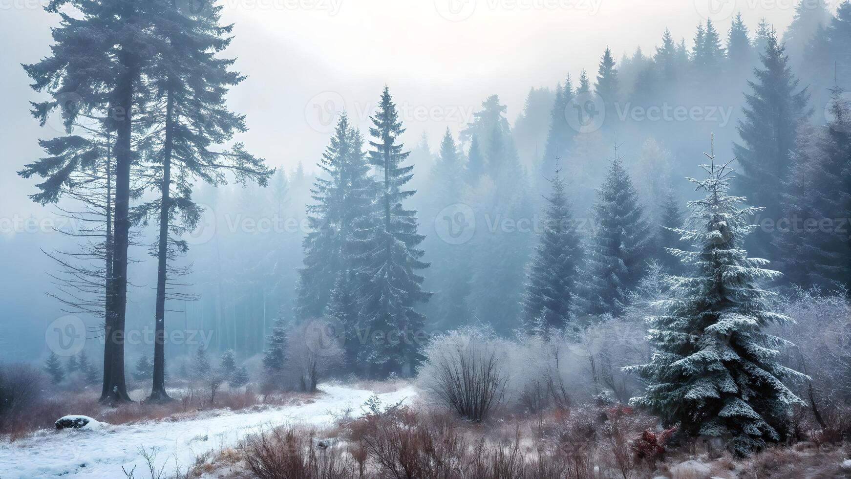 Snowy Pine Forest Serene Winter Landscape for Nature Lovers and Travel Enthusiasts winter photo