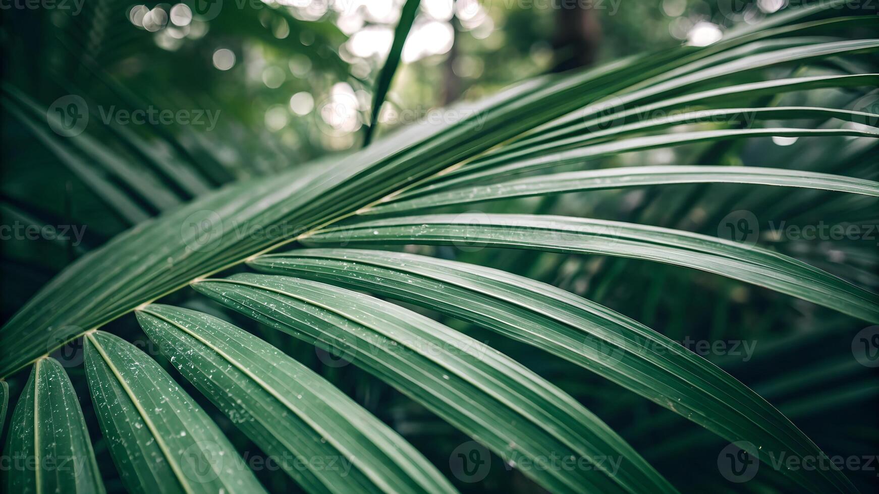 Tropical Palm Leaf Close-Up in Lush Forest for Nature Enthusiasts and Designers Seeking Botanical photo