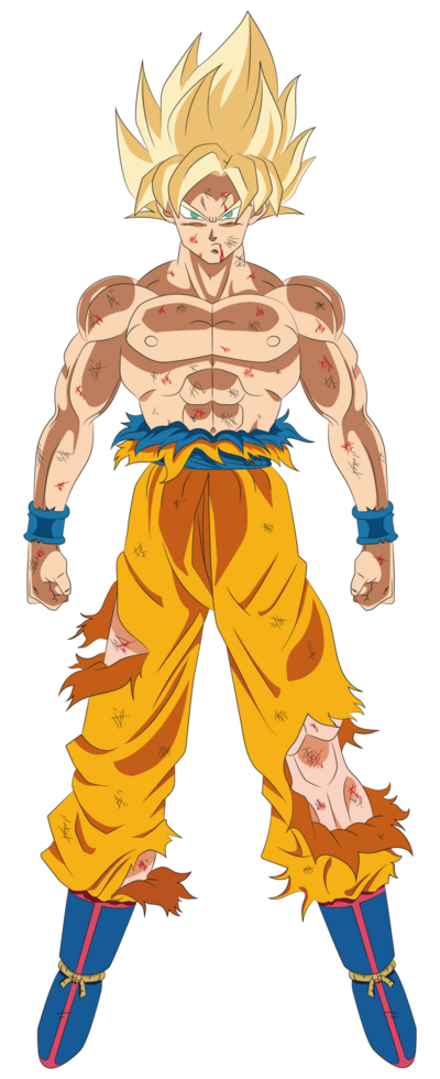 Goku Super Saiyan With Combat Damage png