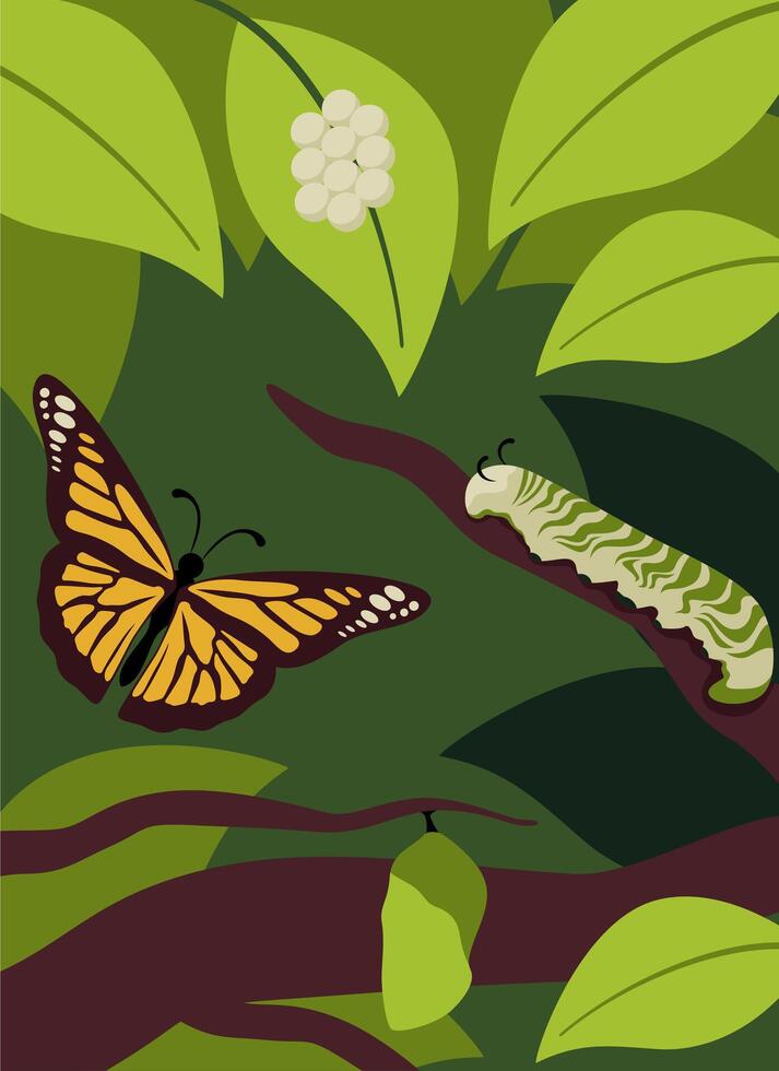 Insect Butterfly And Caterpillar Illustration vector