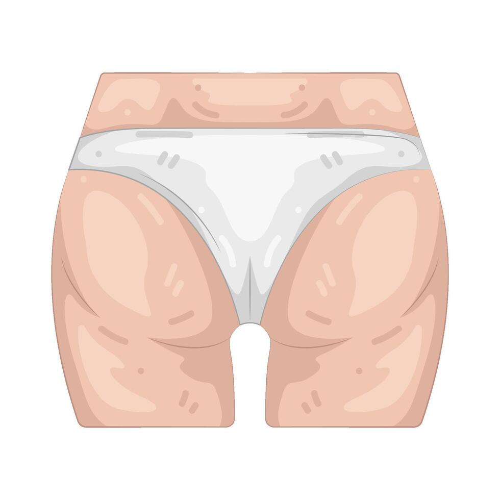 Illustration of Buttock vector