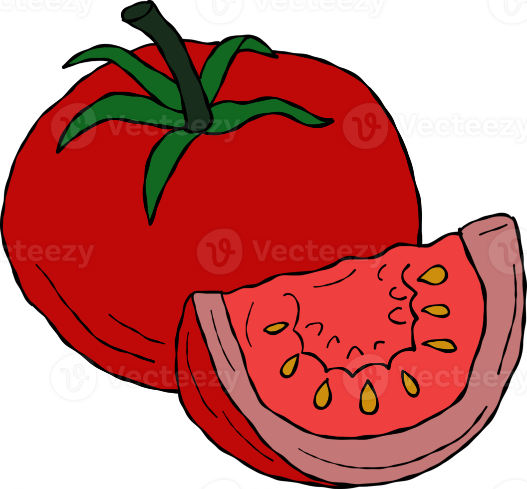 tomato drawing. cartoon style drawing. png