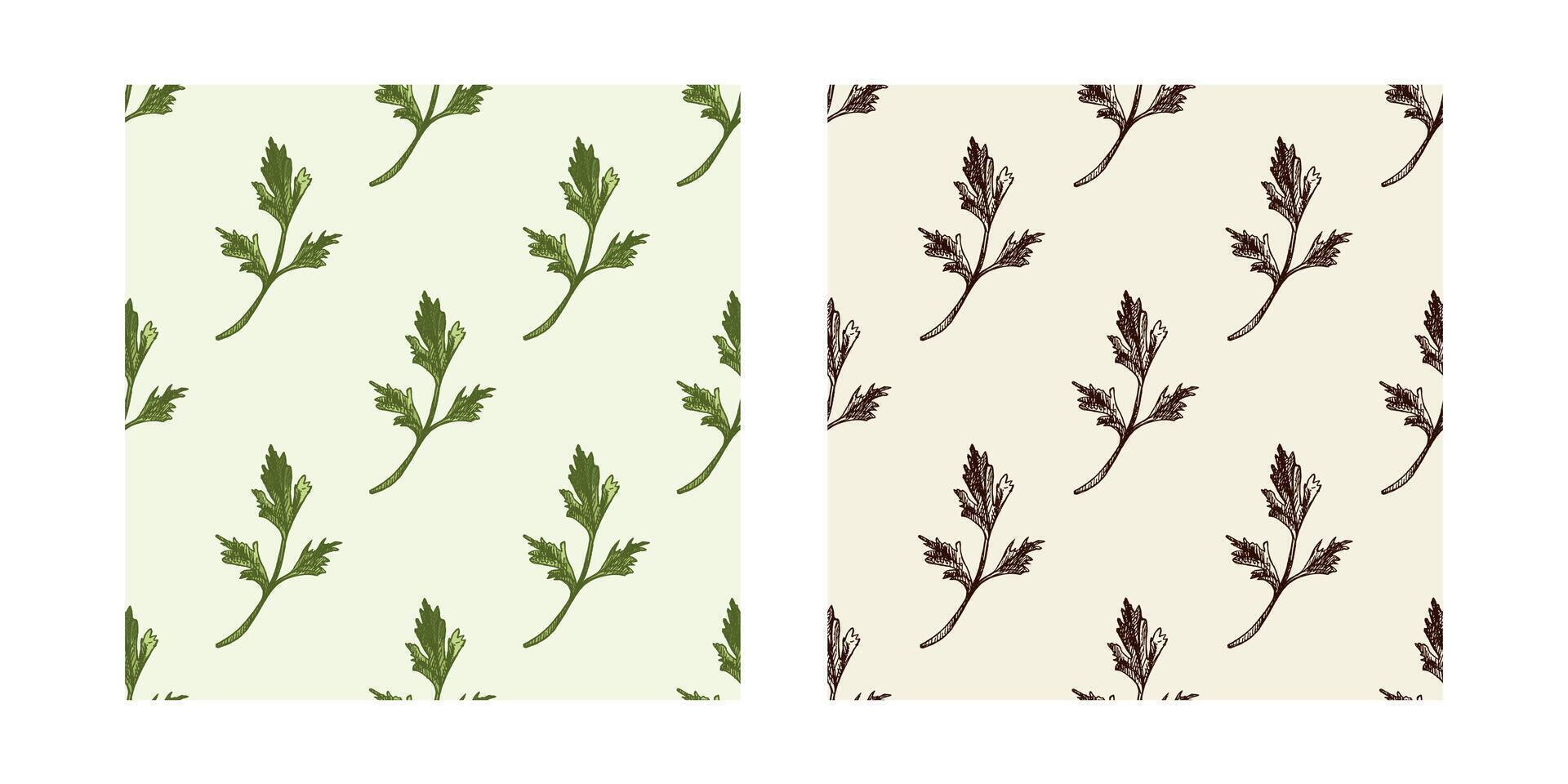 Set of seamless parsley patterns with hand drawn black and colored leaves in vintage sketch style vector