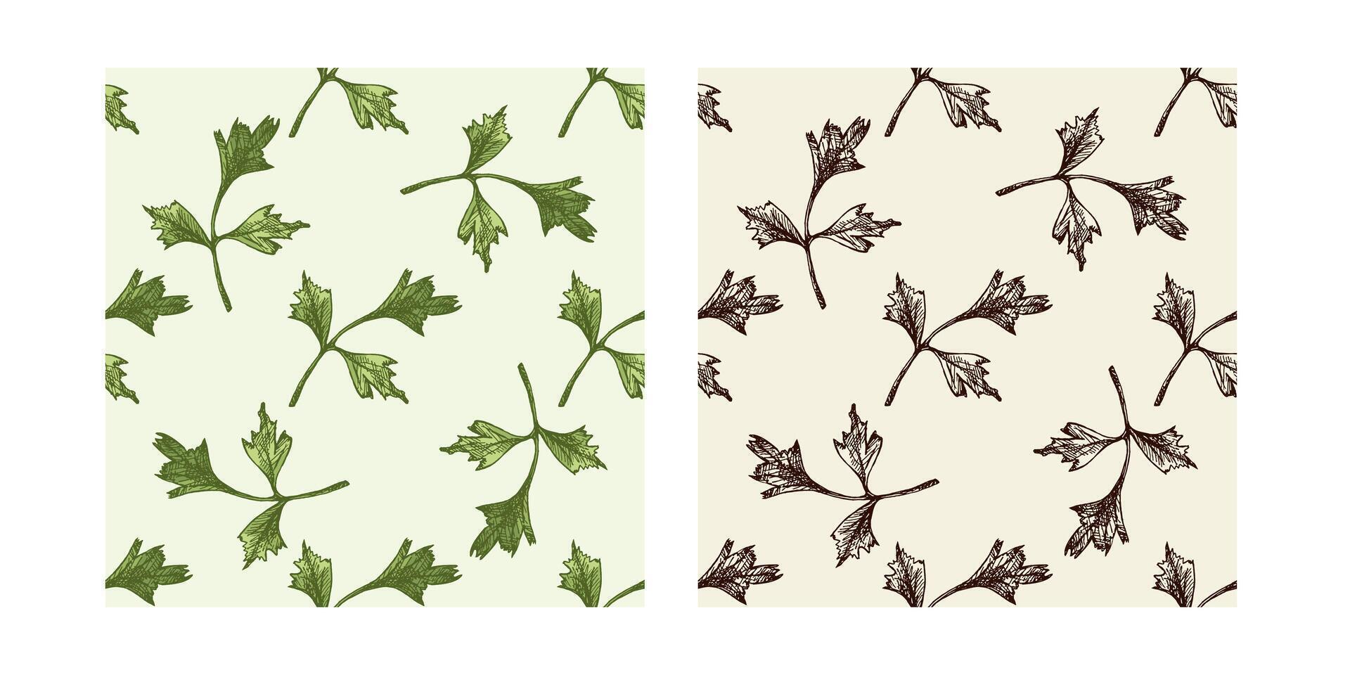 Vintage seamless pattern collection of hand drawn parsley leaves in black and color versions vector