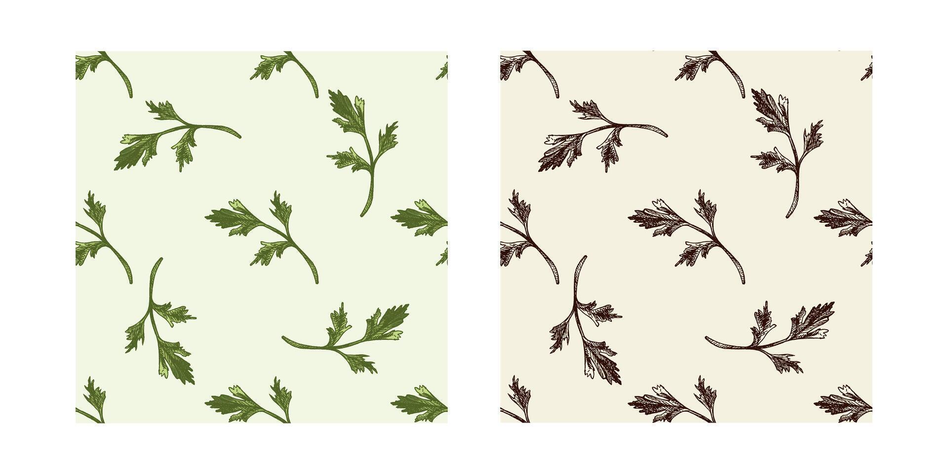 Collection of seamless hand drawn parsley patterns in color and black vintage ink style vector