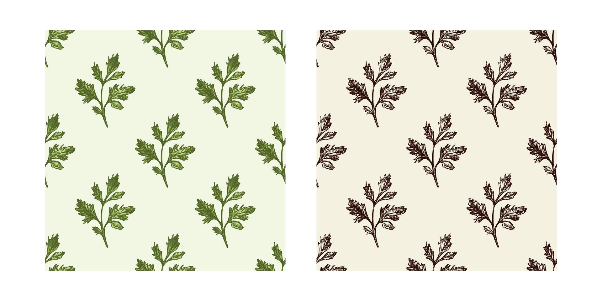 Parsley leaf seamless pattern set, hand drawn in vintage sketch style, color and black versions vector