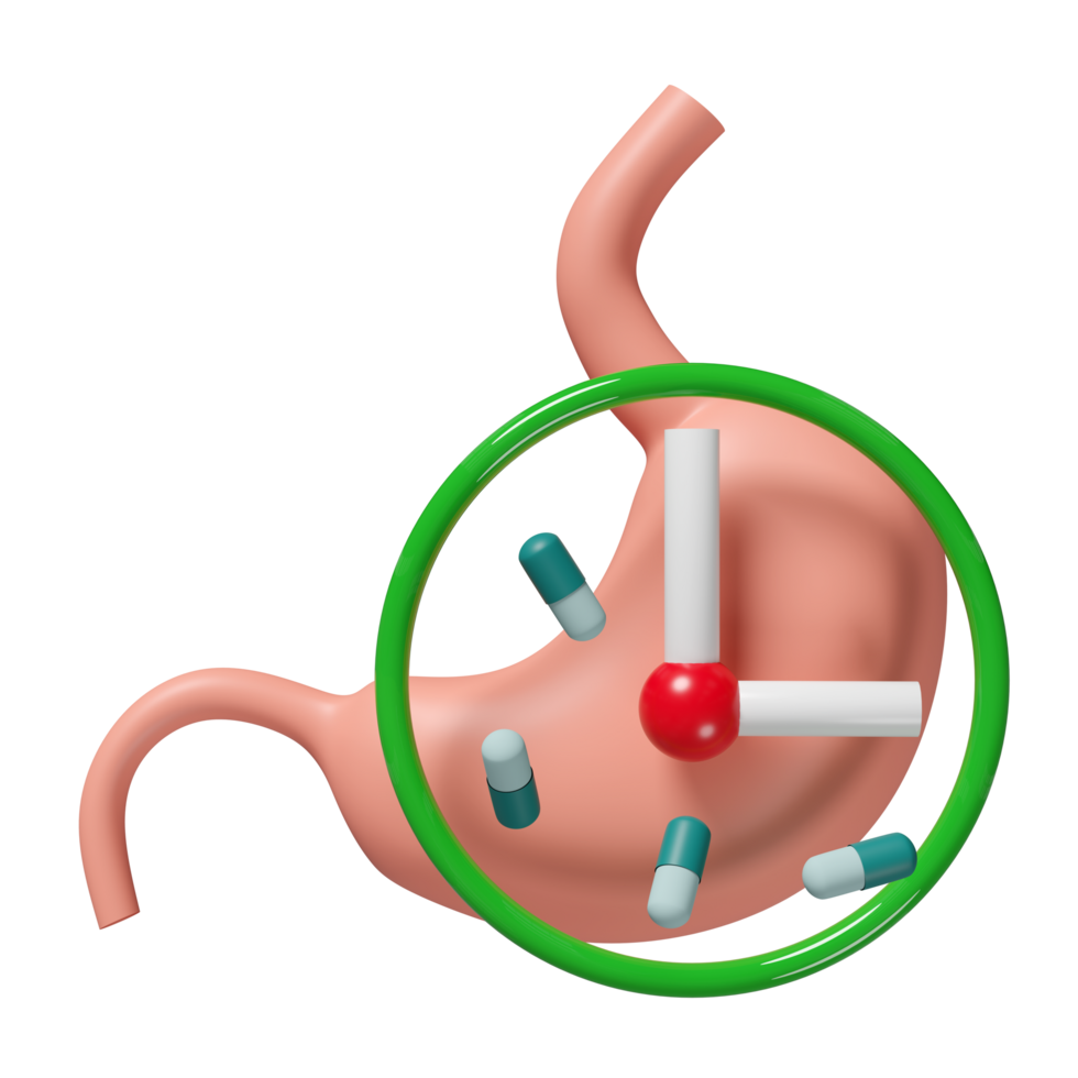 3d human stomach with clock, medicine isolated. The concept of taking medicine on time, 3d illustration render png