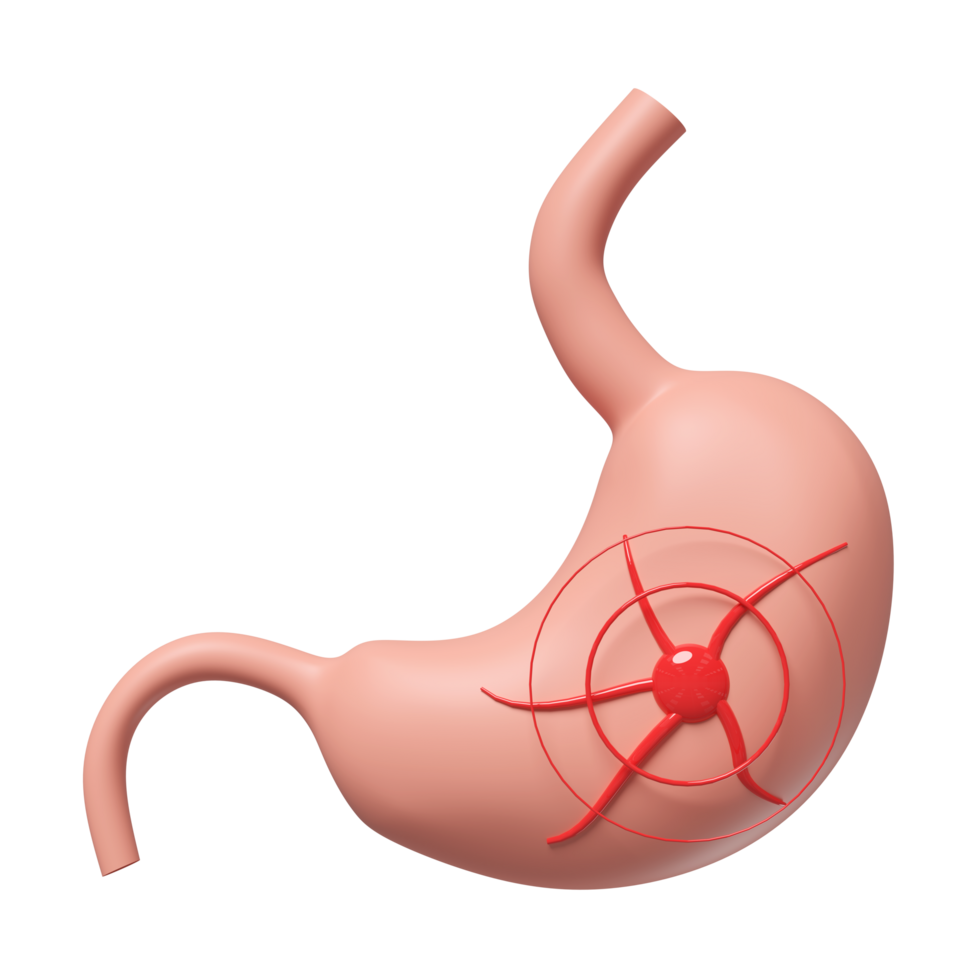 3d human stomach isolated. gastric disease concept, 3d illustration render png