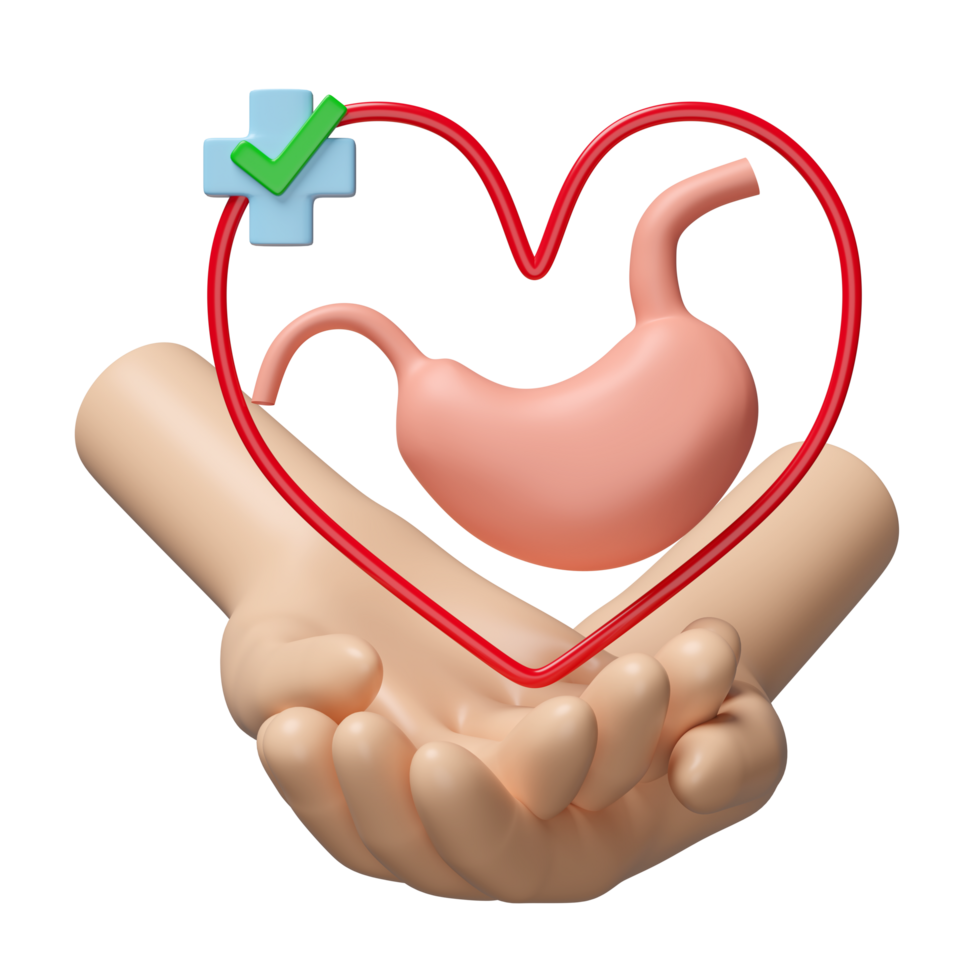 3d hands holding realistic human stomach with heart, cross, check mark isolated. check stomach health, gastric disease concept, 3d illustration render png