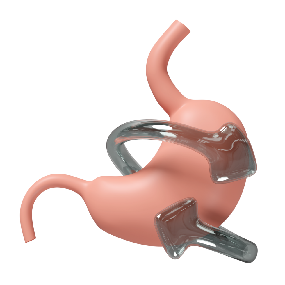 3d realistic human stomach icon with arrow transparent isolated. health check, medicare concept, , 3d illustration render png