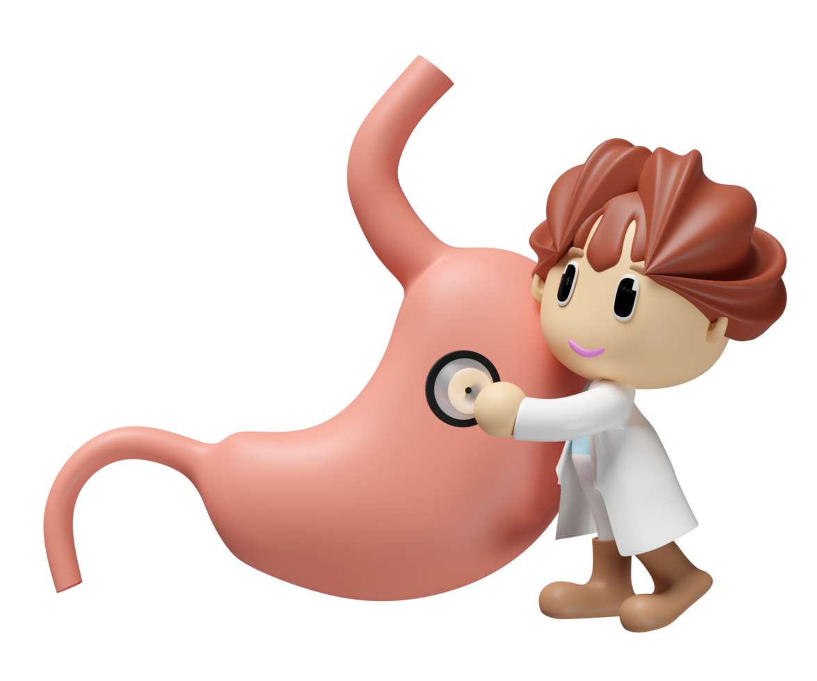 3d realistic human stomach with doctor holding a stethoscope isolated. health check concept, 3d illustration render png