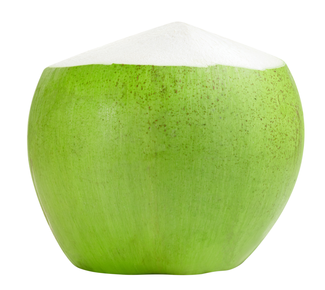 Green coconut fruit isolated. Front view png