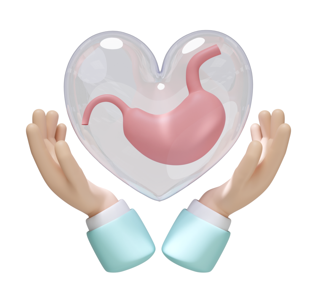 3d hands holding stomach in heart transparent isolated. check stomach health concept, 3d illustration render png