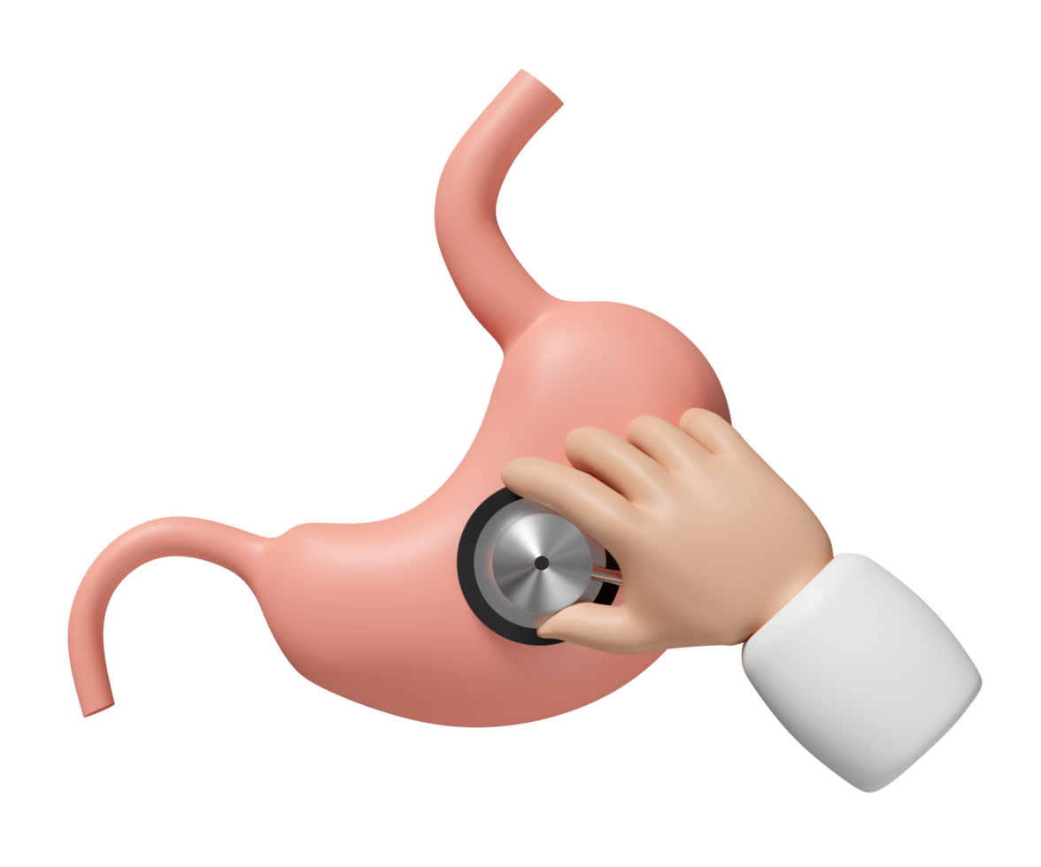 3d doctor hand holding stethoscope with realistic human stomach isolated. check stomach health, organs concept, 3d illustration render png