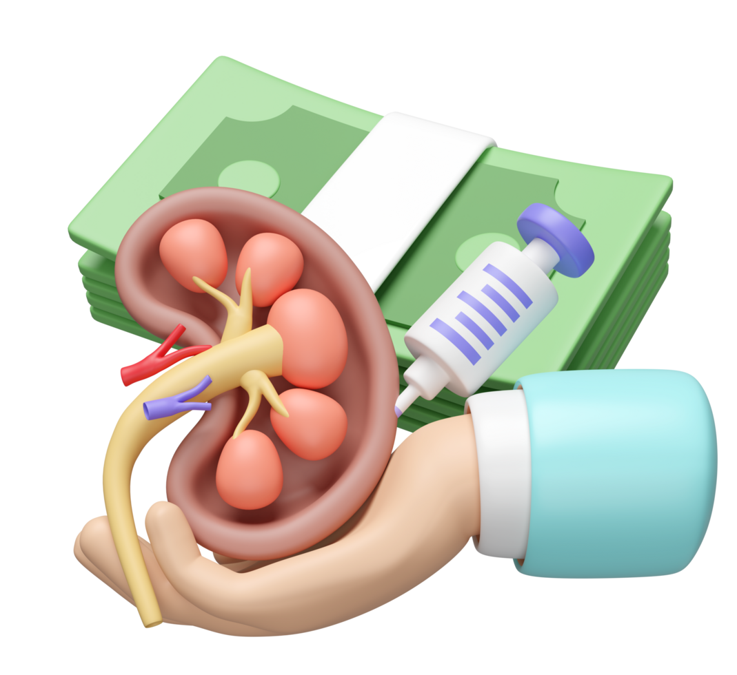 3d doctor hand holding human kidney cross section with stack of banknotes, syringe isolated. check kidney health, expensive medicine concept, 3d illustration render png