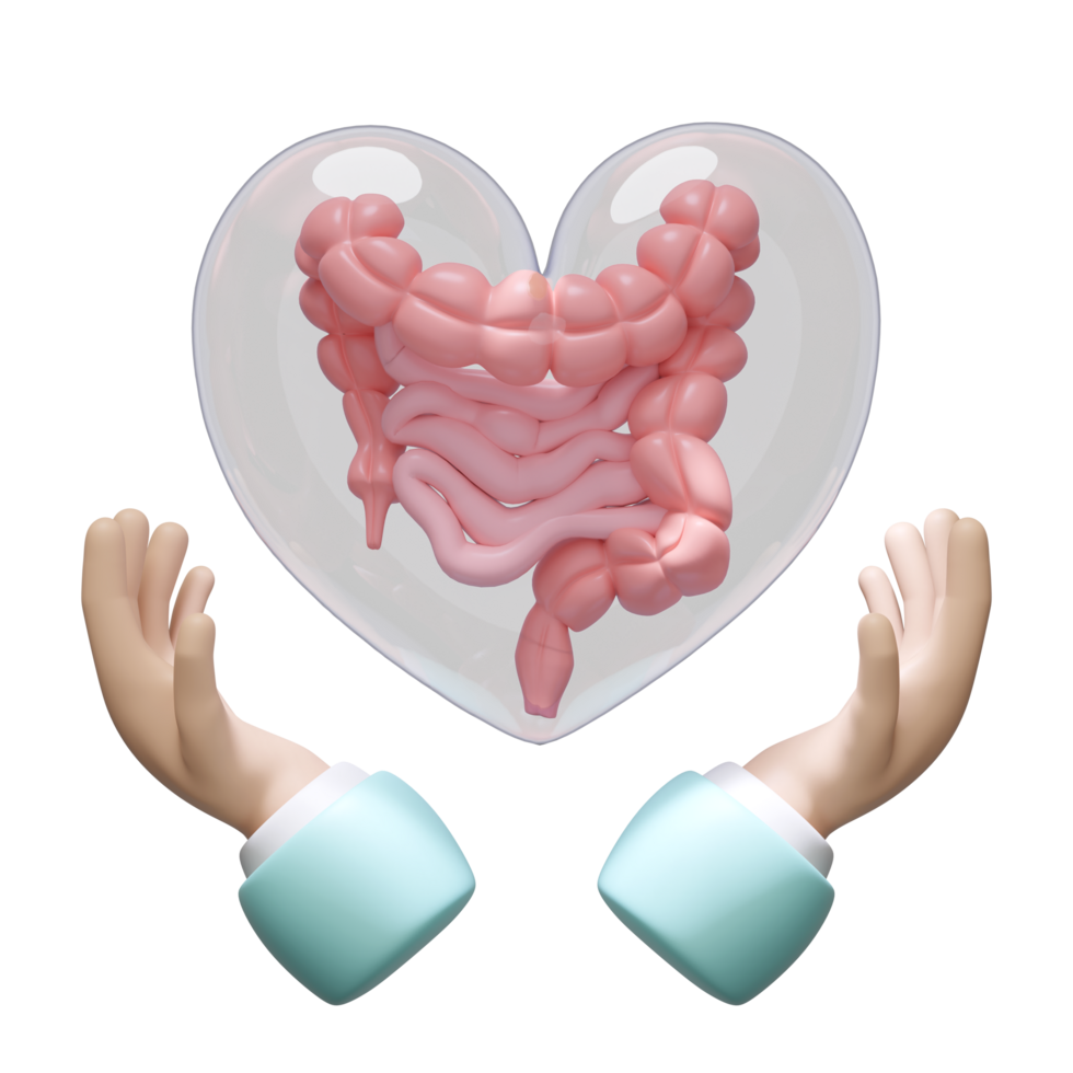 3d hands holding intestine in heart transparent isolated. check intestine health concept, 3d illustration render png