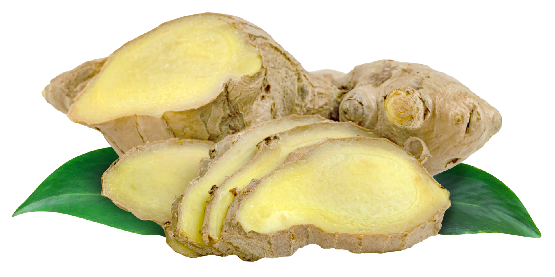 raw fresh ginger root and leaves isolated. png