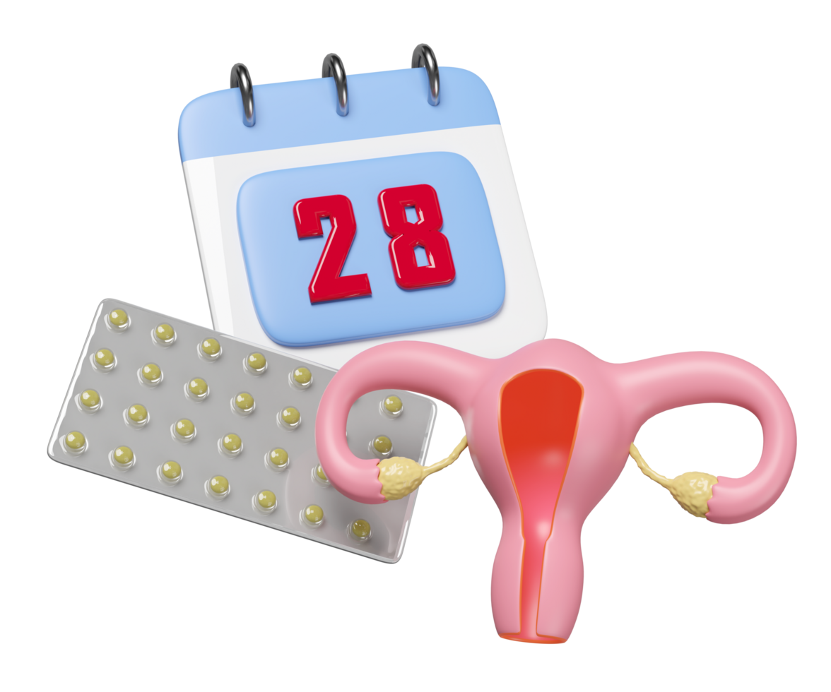 3d uterus model with calendar, birth control pills isolated. menstrual cycle concept, 3d illustration render png