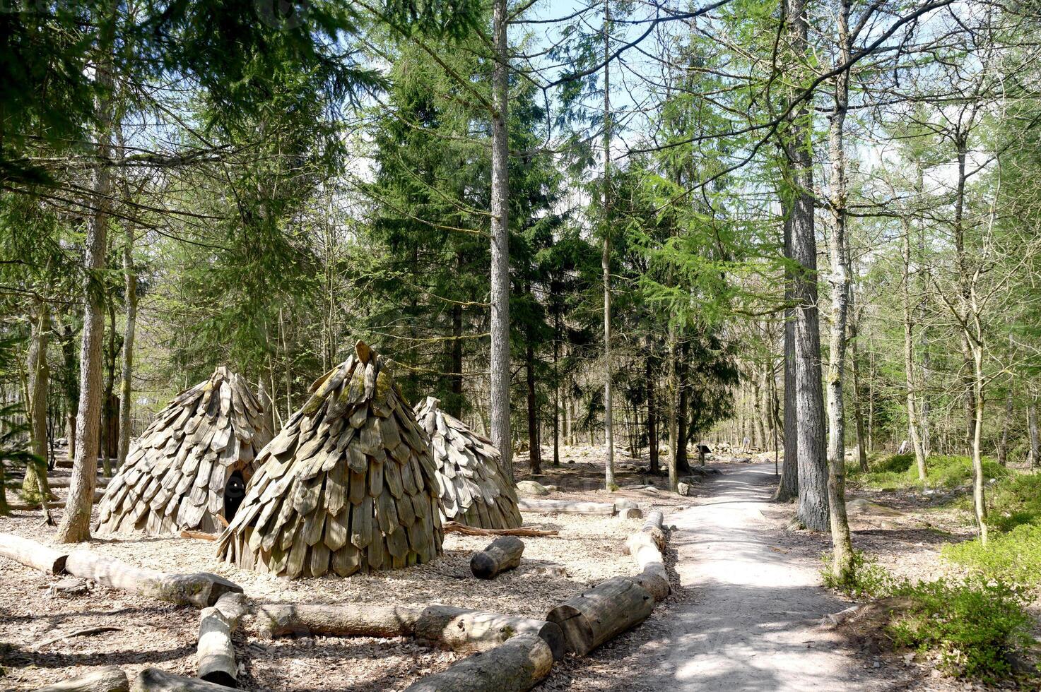 Children's playground made of natural materials in a forest Skrylle Skane Sweden photo