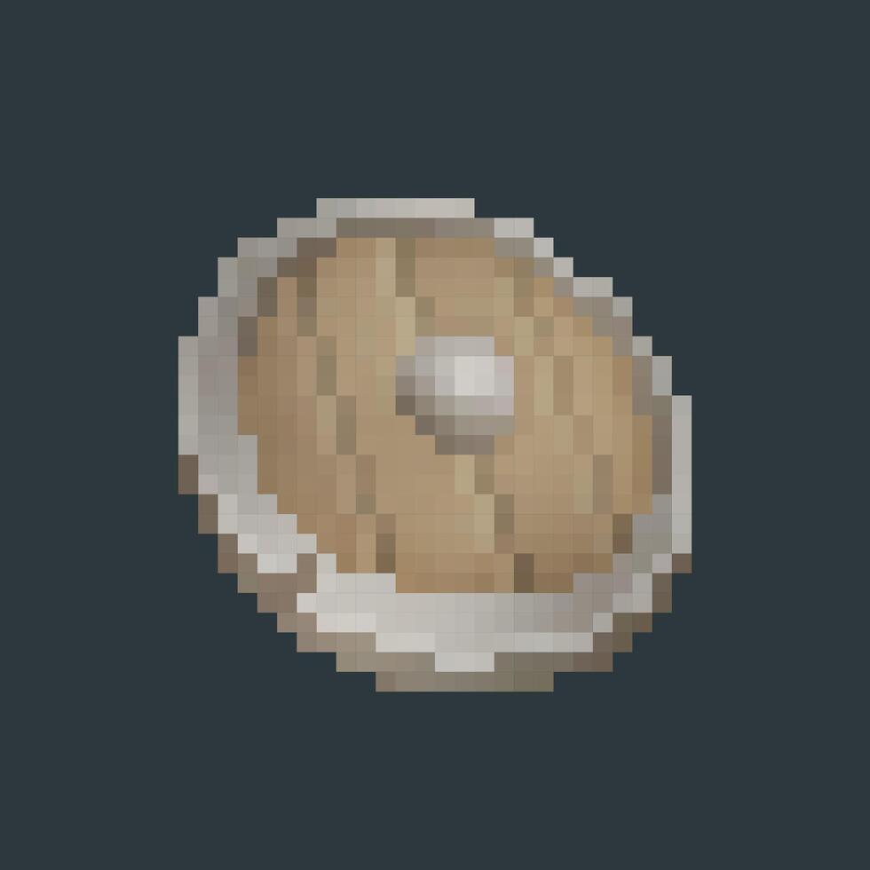 wooden shield in pixel art style with isolated background vector