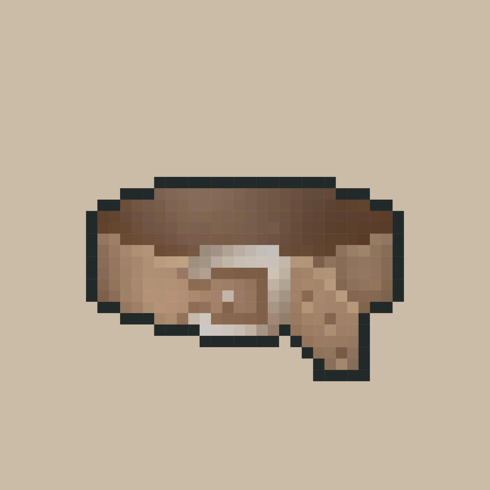 A belt equipment in pixel art style with isolated background vector