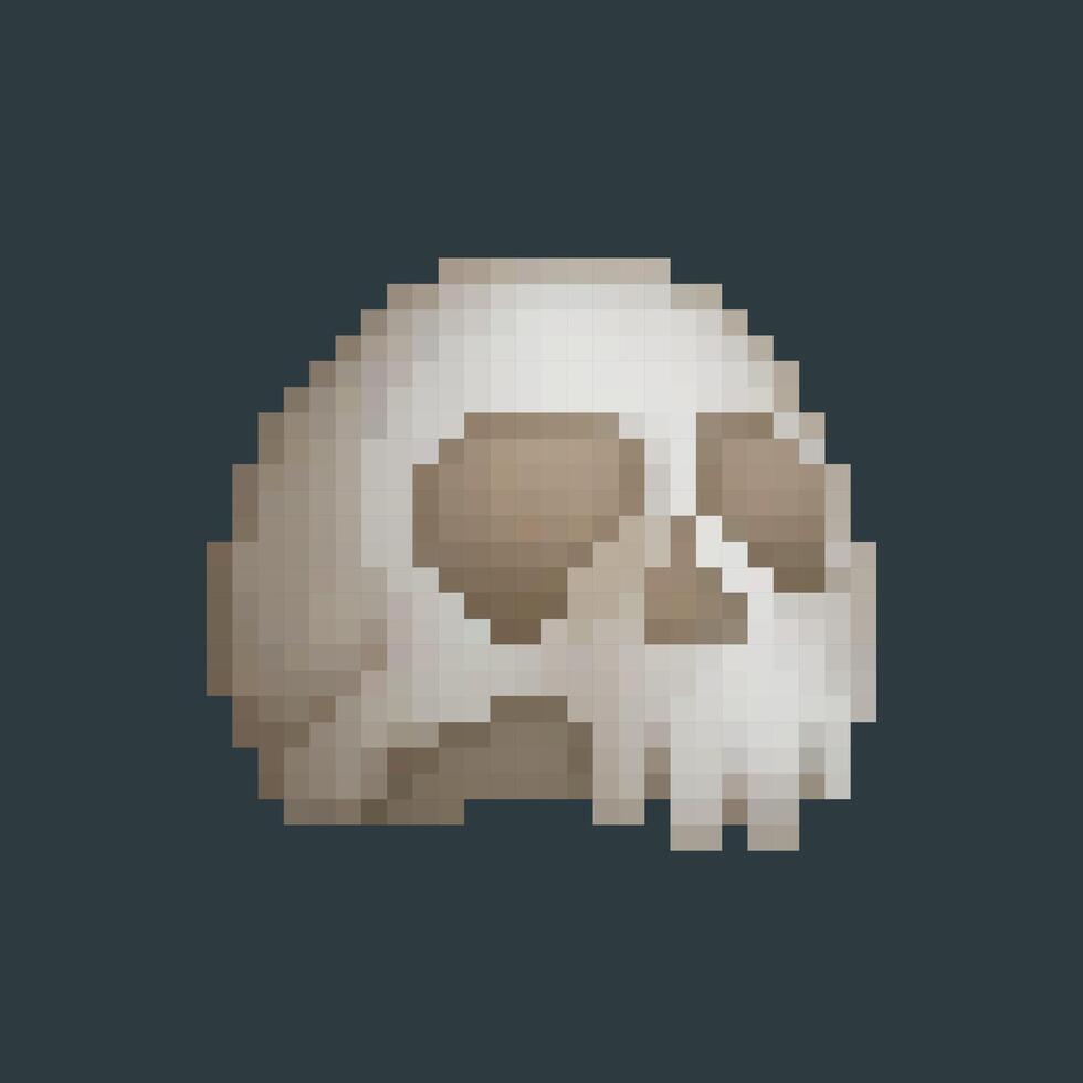 skull head in pixel art style with isolated background vector
