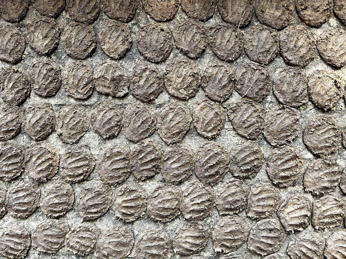 Cow dung has been applied to the walls of the house. photo