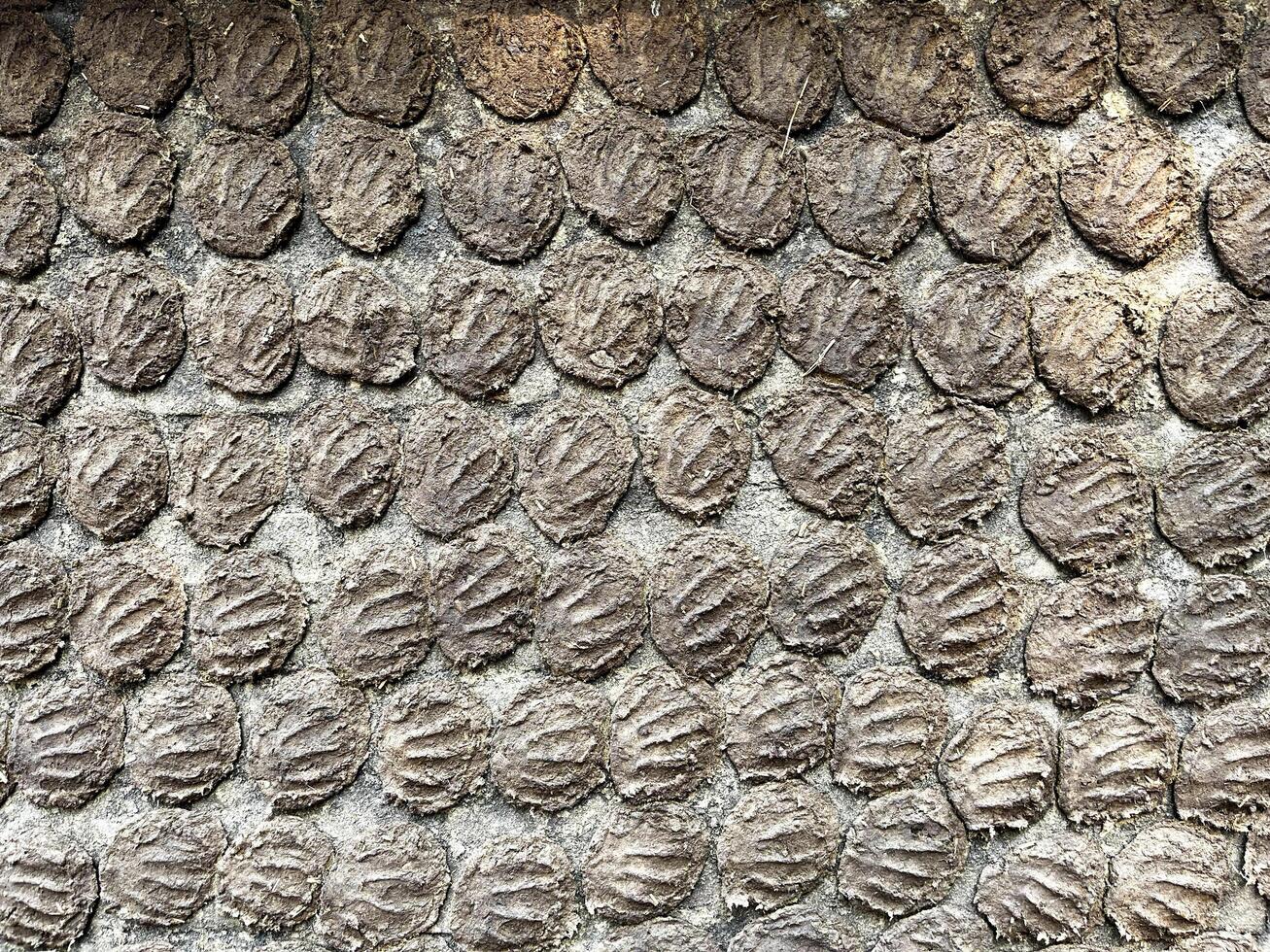 The walls of the house have been smeared with cow dung. photo