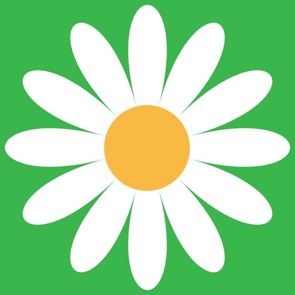 Daisy chamomile flower icon . White daisy chamomile flower icon on green background . Chamomile icon vector