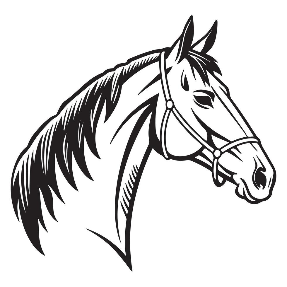 A horse head in a black and white drawing vector