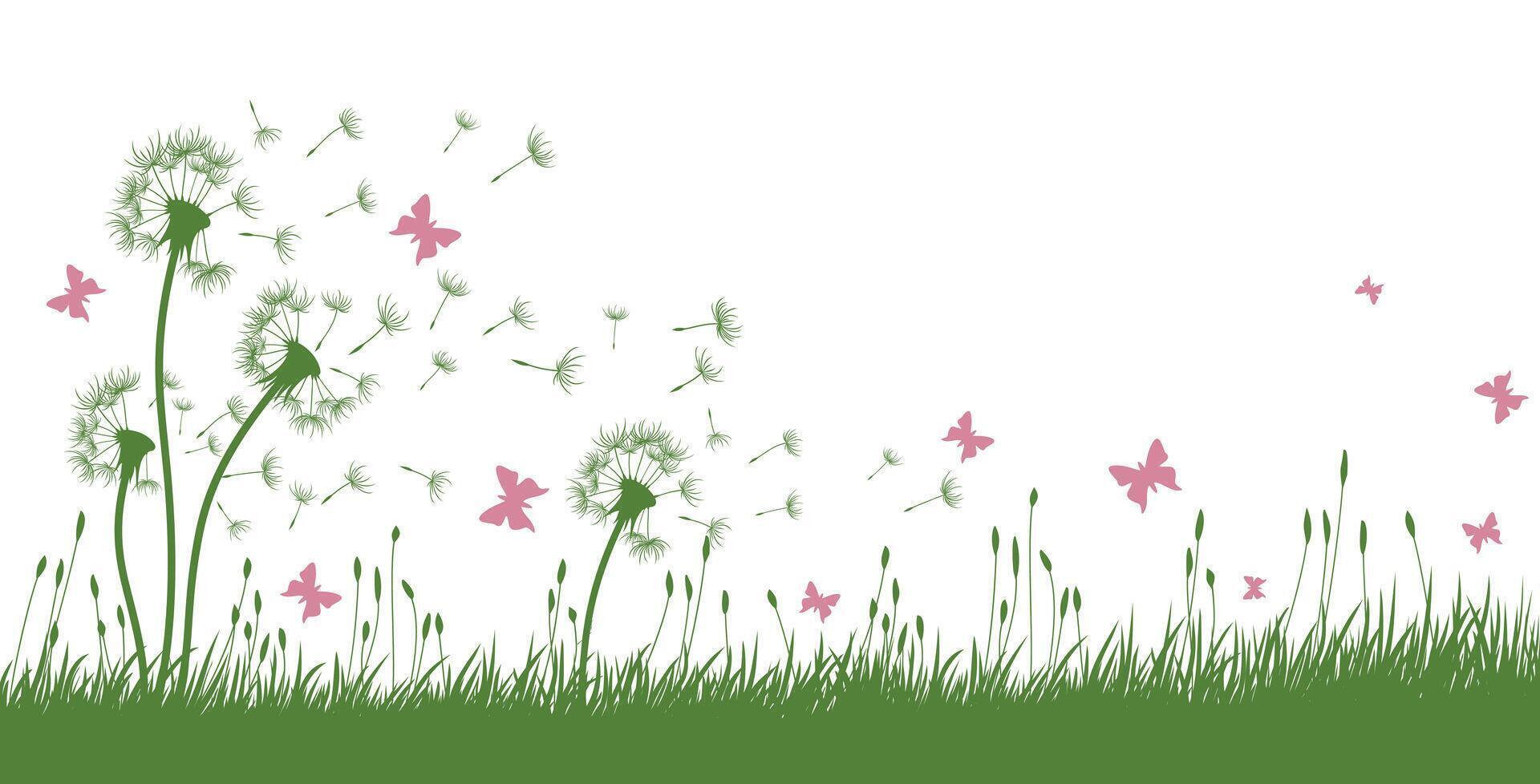 Dandelions with butterflies. vector