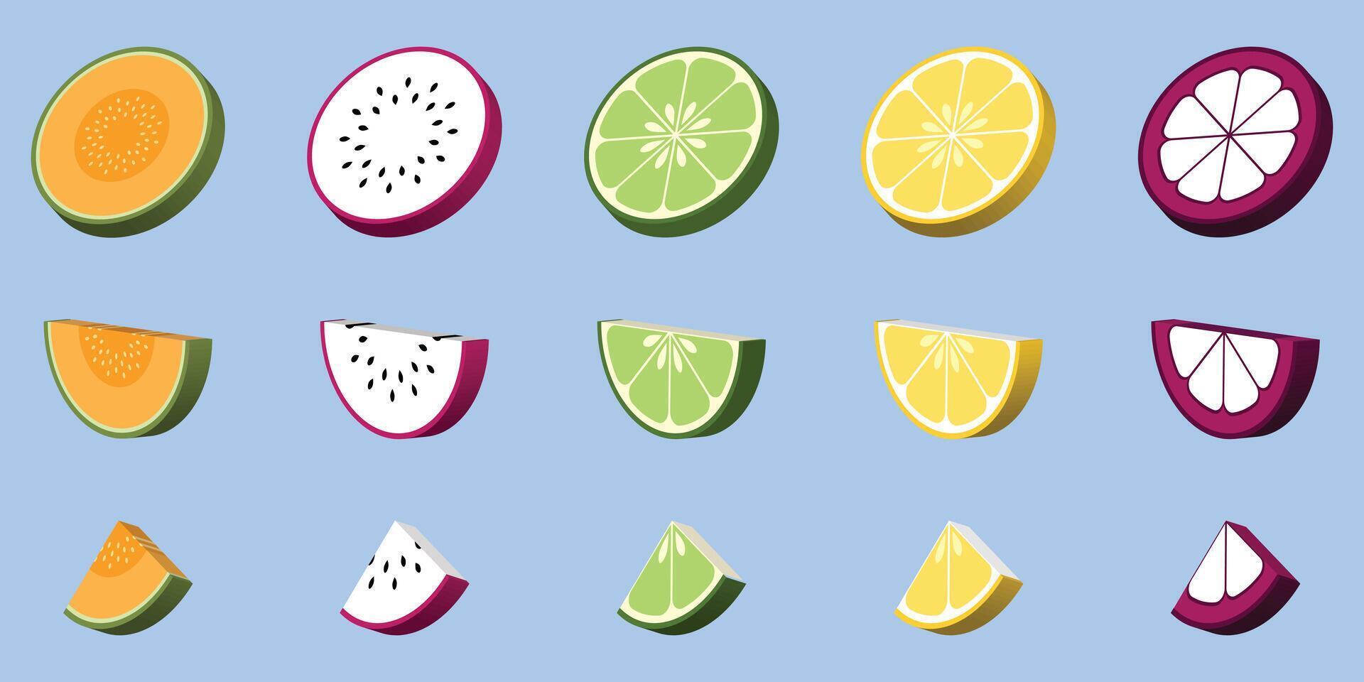Collection Of Fresh Fruit Slices Melon Dragon Fruit Lime Lemon Mangosteen vector