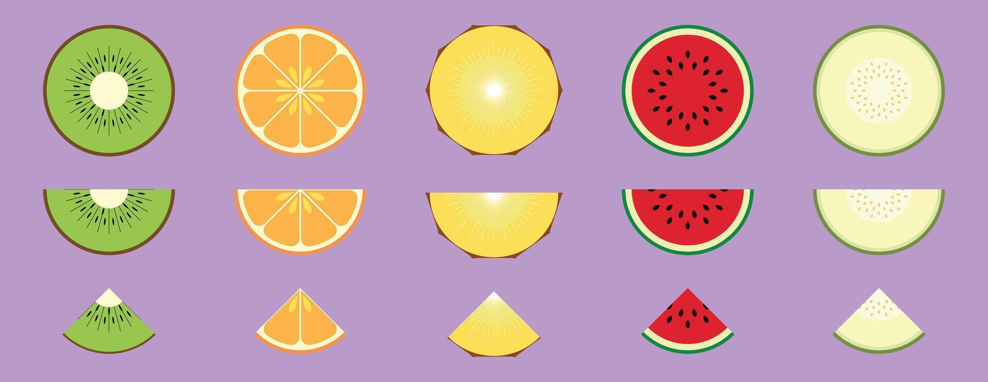 Collection Of Fresh Tropical Fruit Slices Melon Kiwi Orange Pineapple Watermelon vector