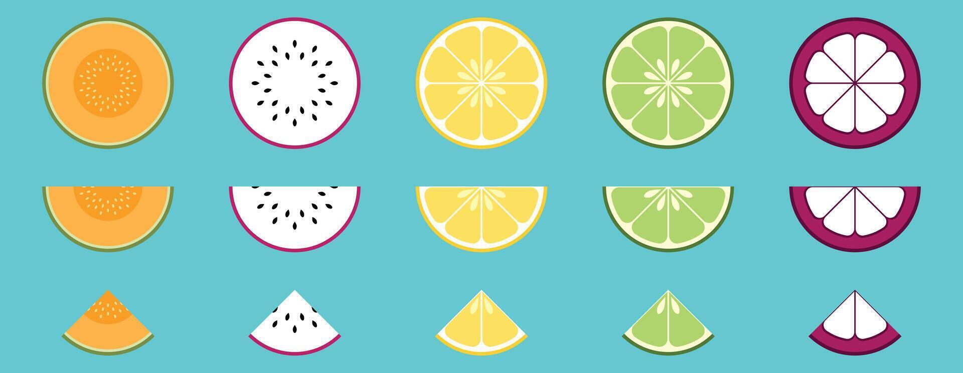 Fresh Tropical Fruit Slices Collection Melon Dragon Fruit Lemon Lime Mangosteen vector