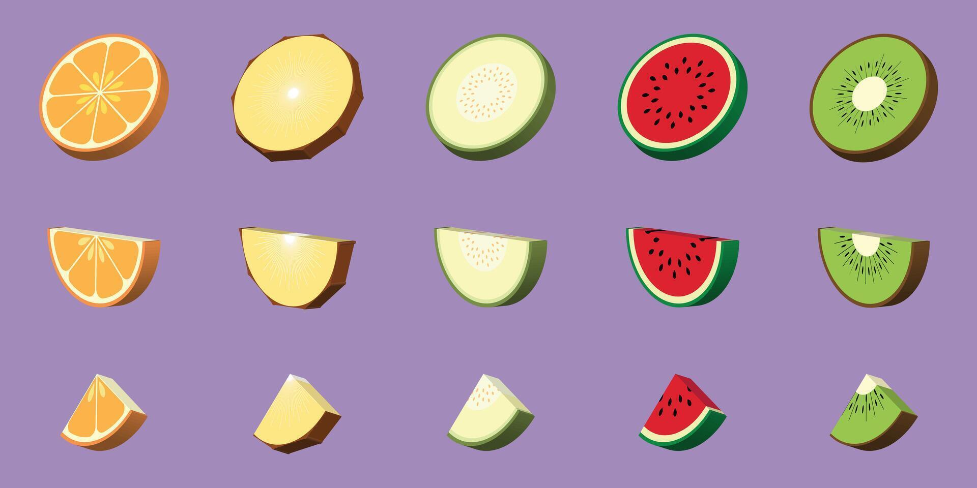 Collection of Fresh Fruit Slices Orange Pineapple Melon Watermelon Kiwi vector