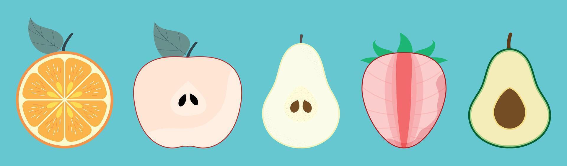Collection Of Fresh Tropical Fruit Slices Orange Apple Pear Strawberry Avocado vector