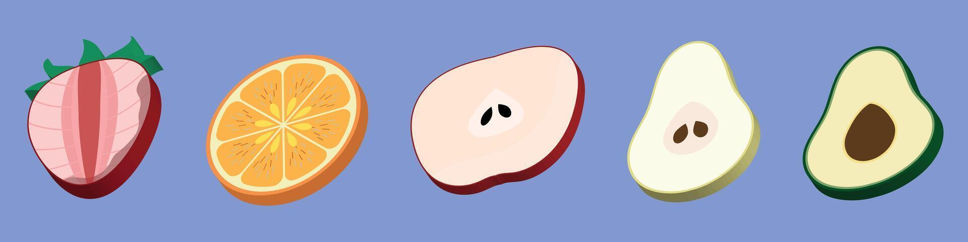 Fresh Fruit Slices Collection Strawberry Orange Apple Pear Avocado vector