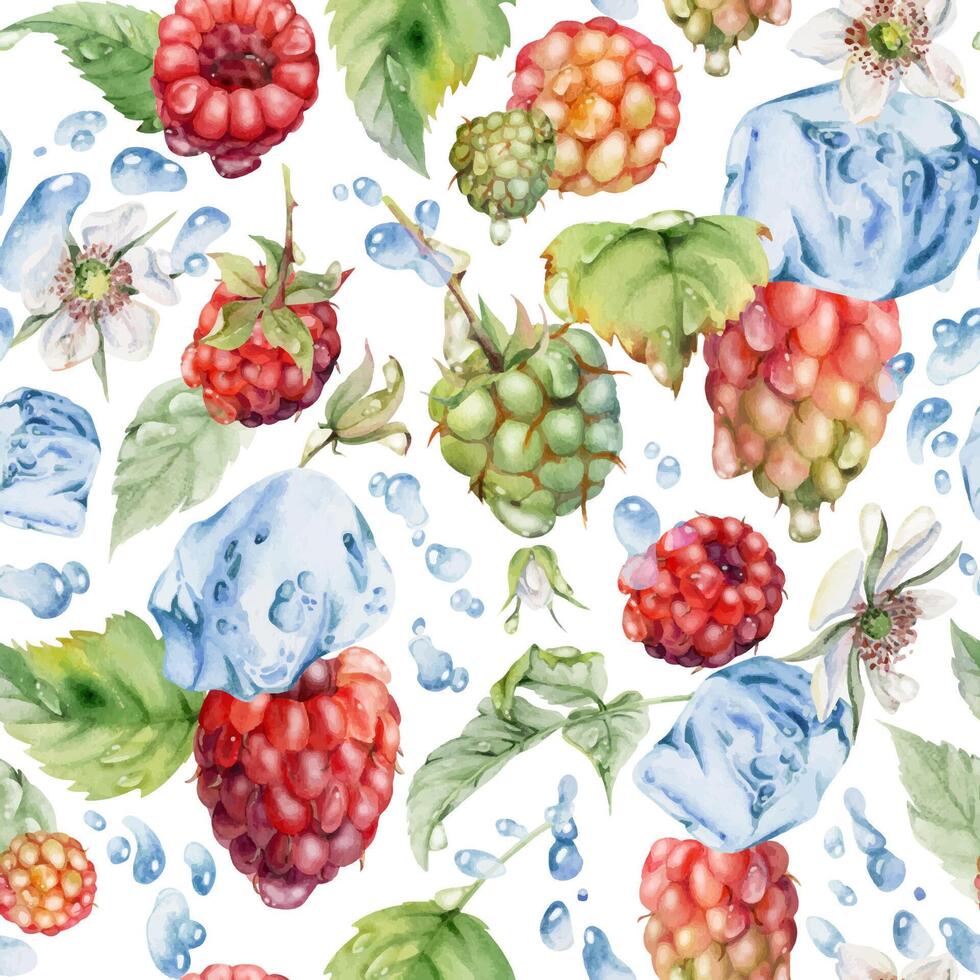 Raspberry leaves, dew drops, ice cubes, water splash. Ripe summer garden forest berry loganberry hand drawn in watercolor. Isolated seamless pattern tile. Home preserves, stationery, menu, recipe book vector